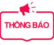 Không có ảnh